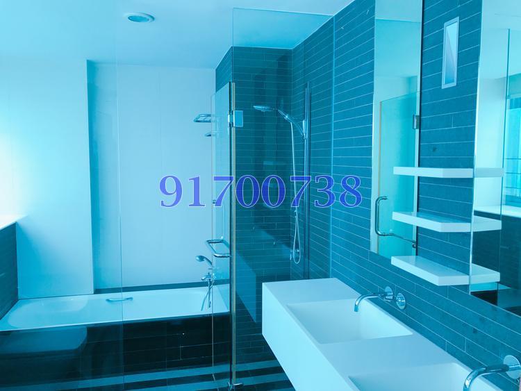 Park Infinia At Wee Nam (D11), Condominium #149527602
